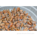 Cooked Frozen Clams In Shell Seafood Frozen Mussel Meat in Half Shell Manufactory